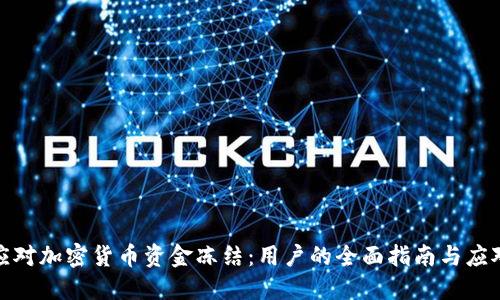 如何应对加密货币资金冻结：用户的全面指南与应对策略