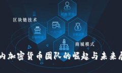 国内加密货币团队的崛起与未来展望