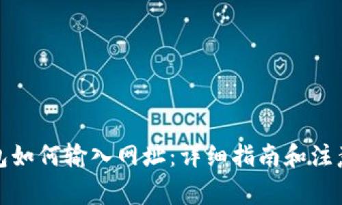 TP钱包如何输入网址：详细指南和注意事项