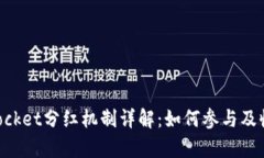 TokenPocket分红机制详解：如何参与及收益分析