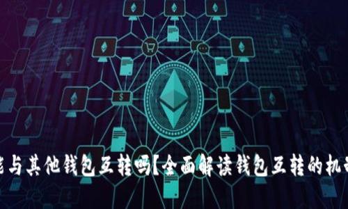 TP钱包能与其他钱包互转吗？全面解读钱包互转的机制与步骤