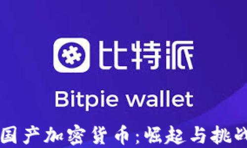 
国产加密货币：崛起与挑战