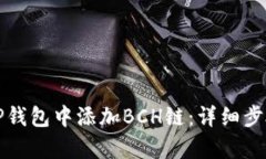 如何在TP钱包中添加BCH链：详细步骤与解析