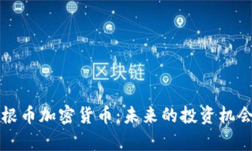 深入解析培根币加密货币：未来的投资机会与风险评估