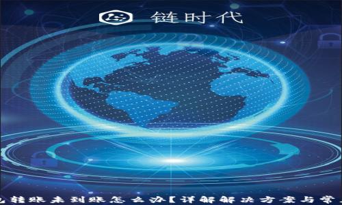 
TP钱包转账未到账怎么办？详解解决方案与常见问题