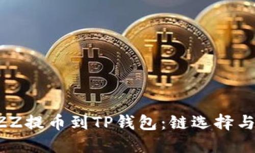 如何将BZZ提币到TP钱包：链选择与步骤详解