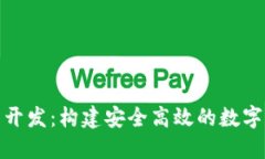 加密货币支付平台开发：构建安全高效的数字资