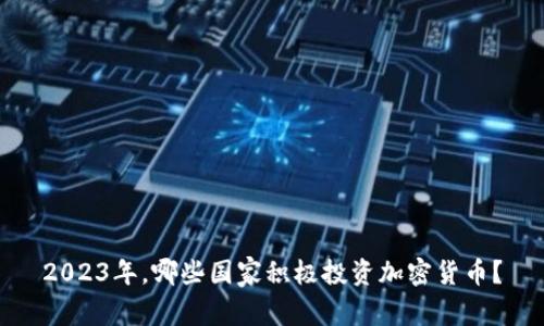 2023年，哪些国家积极投资加密货币？